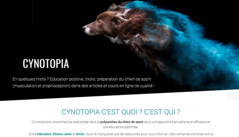 Le chien de berger : la vérité sur ses besoins physiques - Cynotopia