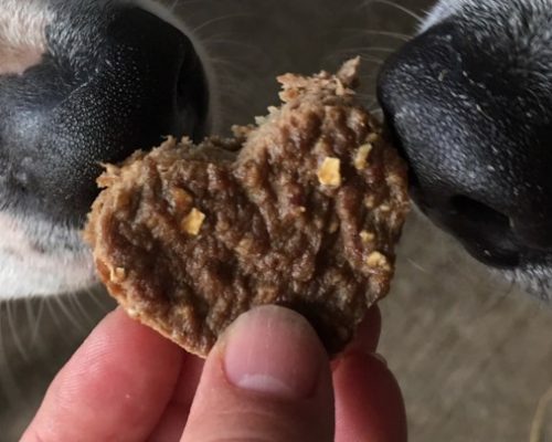 recette biscuits chien chat facile